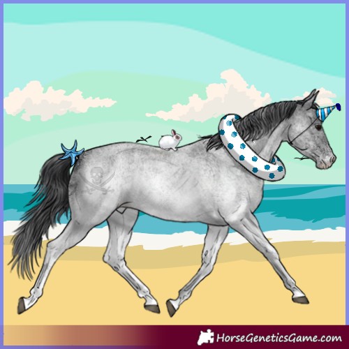 Horse Color:White Spotted Blue Roan