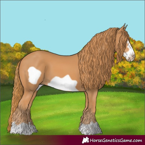 Horse Color:Unknown 