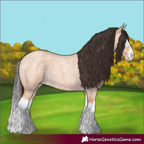 Horse Color:Bay Roan Dun Splash
