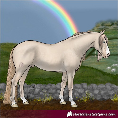 Horse Color:Perlino Dun 