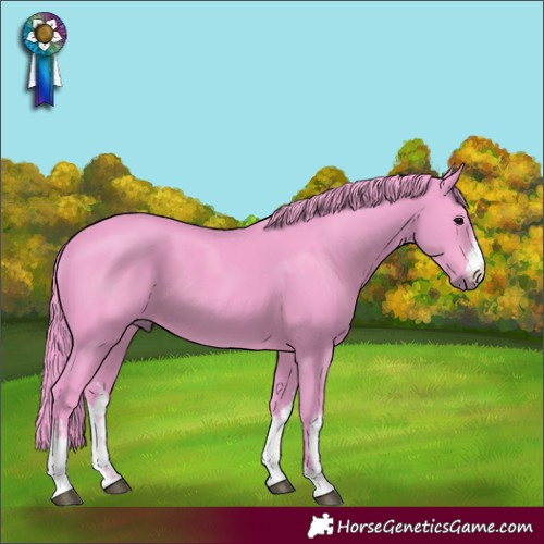 Horse Color:Watercolor White Spotted Smoky Black 