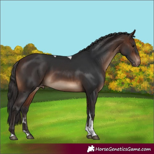 Horse Color:Brown Tobiano Varnish 