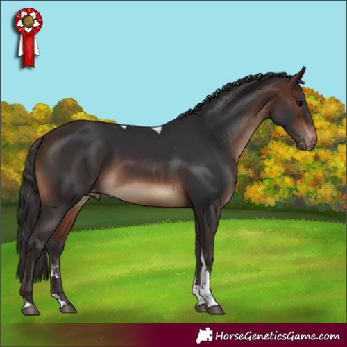 Horse Color:Brown Tobiano Varnish