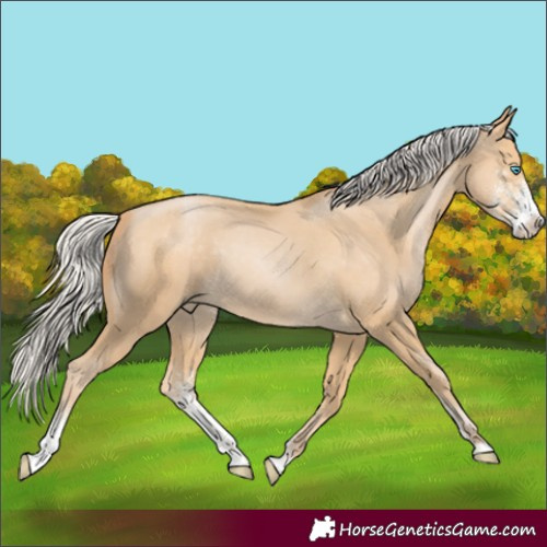 Horse Color:Silver Smoky Black Pearl Sabino