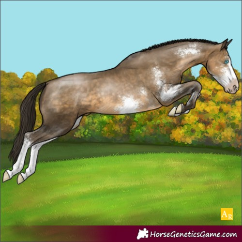 Horse Color:Gray Buckskin Pearl Sabino Rabicano