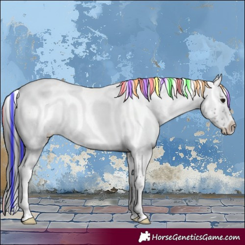 Horse Color:Painted Brown Ice Sabino 