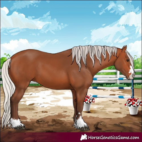 Horse Color:Silver Bay