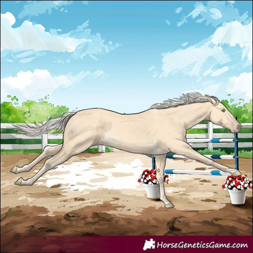 Horse Color:Gold Cream Champagne 