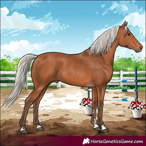 Horse Color:Silver Bay