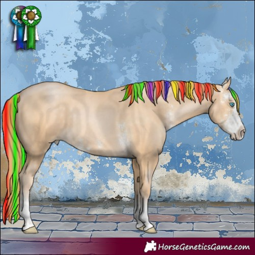 Horse Color:Painted Buckskin Pearl Sabino 