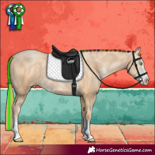 Horse Color:Painted Buckskin Pearl Sabino
