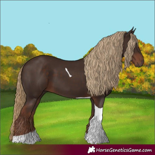 Horse Color:Liver Chestnut Tobiano 