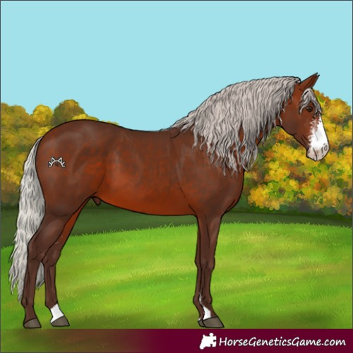 Horse Color:Silver Brown Sabino 