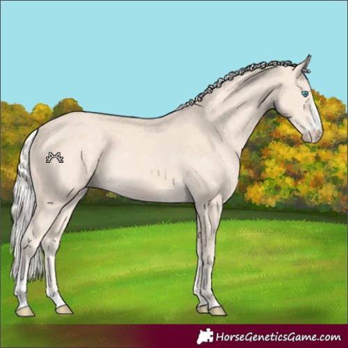 Horse Color:Cremello Sabino 
