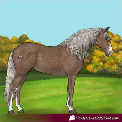 Horse Color:Silver Smoky Black Sabino 