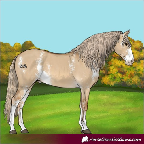 Horse Color:Chocolate Palomino Dun Sabino