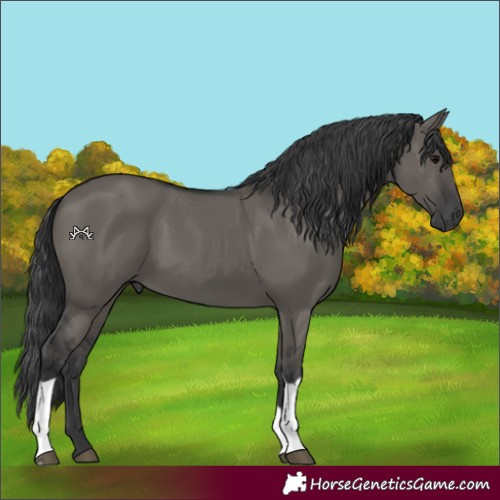 Horse Color:Grullo Tobiano 