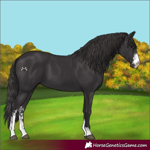 Horse Color:Smoky Black Sabino 