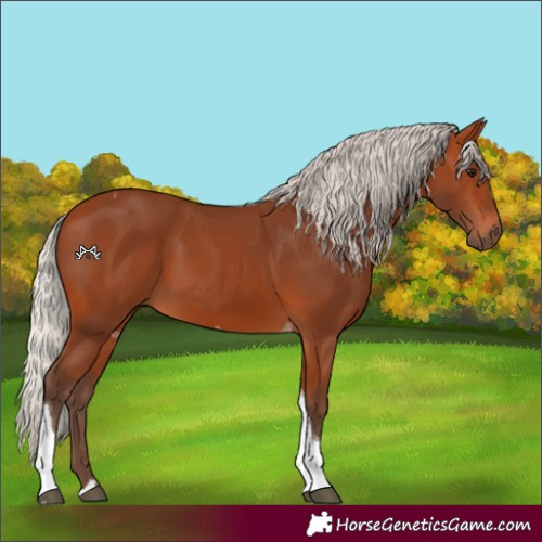 Horse Color:Silver Bay Tobiano