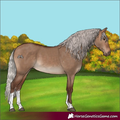 Horse Color:Silver Brown Dun Tobiano 