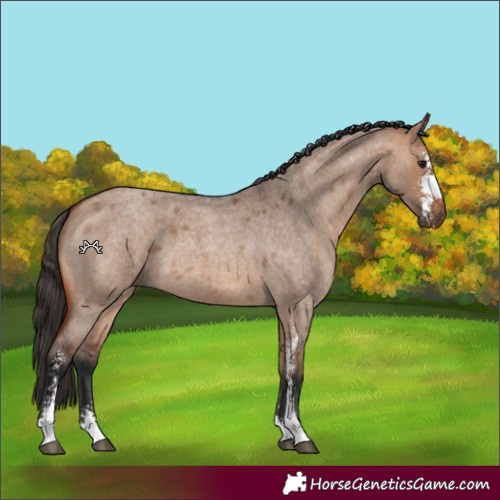 Horse Color:Bay Roan Dun Sabino 