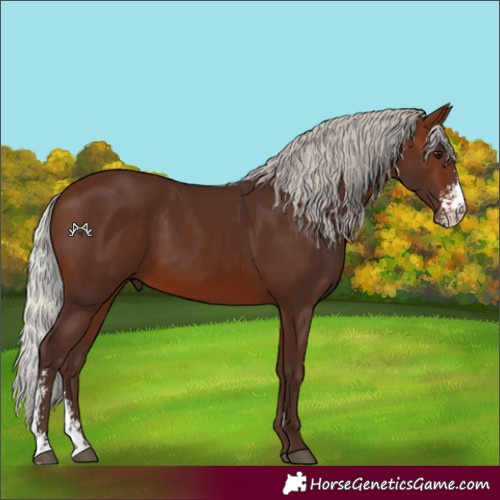 Horse Color:Silver Brown Sabino