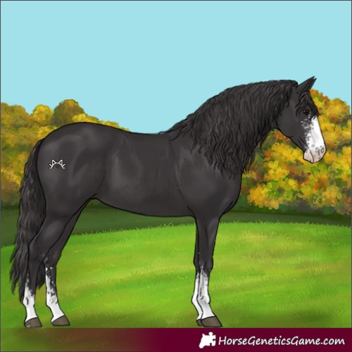 Horse Color:Smoky Black Sabino 
