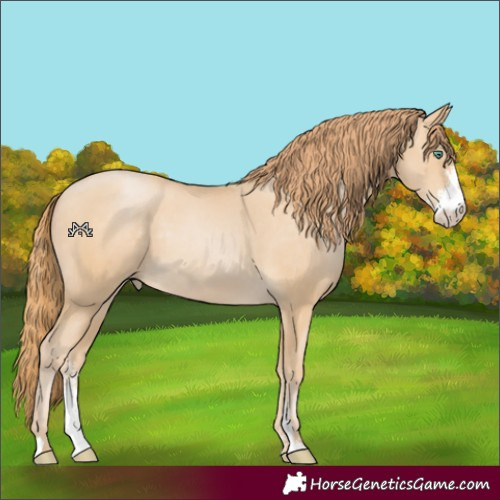 Horse Color:Smoky Black Pearl Sabino 
