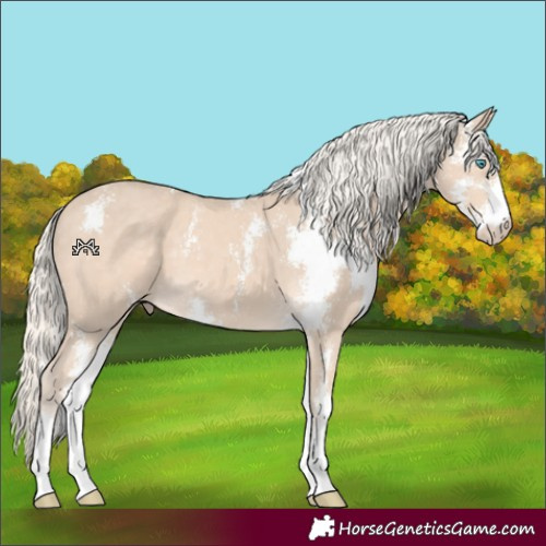 Horse Color:Cremello Sabino