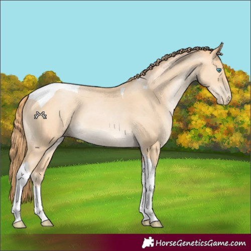 Horse Color:Buckskin Pearl Tobiano