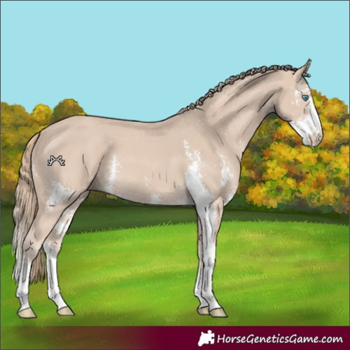 Horse Color:Smoky Creme Sabino