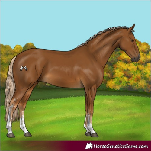 Horse Color:Gray Palomino Sabino