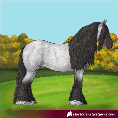 Horse Color:Smoky Blue Roan