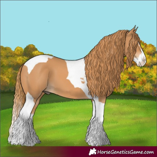 Horse Color:Chestnut Splash Tobiano