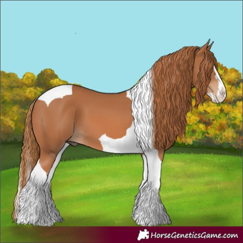 Horse Color:Chestnut Splash Tobiano