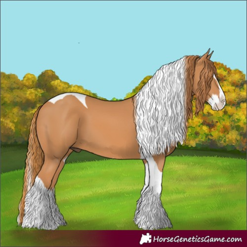Horse Color:Chestnut Splash Tobiano 
