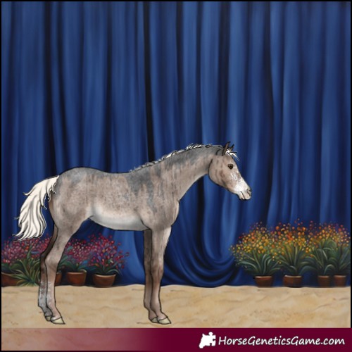Horse Color:Liver Red Dun Roan Mushroom Sabino Brindle 