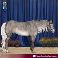 Horse Color:Liver Red Dun Roan Mushroom Sabino Brindle