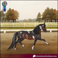 Horse Color:White Spotted Brown Tobiano Appaloosa Rabicano 