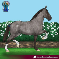 Horse Color:Liver Red Roan 