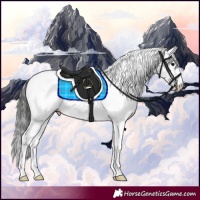 Horse Color:Grullo Sabino Splash Near Leopard