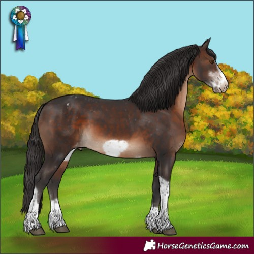 Horse Color:Brown Sabino Tobiano Frame Appaloosa Rabicano