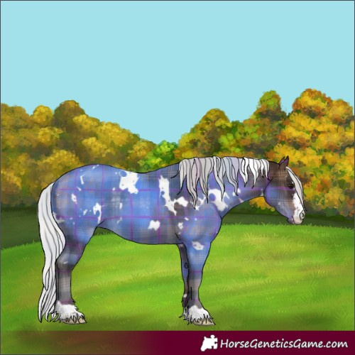 Horse Color:Plaid  White Spotted Silver Brown 