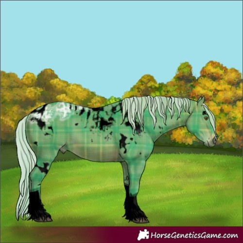 Horse Color:Gray Void Watercolor Plaid  White Spotted Silver Bay Ice Tobiano Skewed Appaloosa Rabicano 