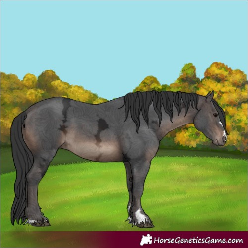 Horse Color:Brown Ice