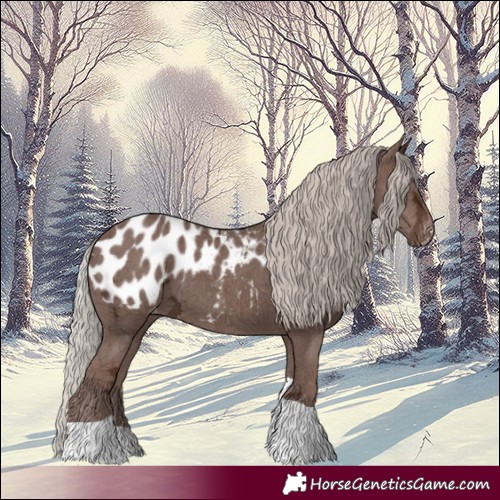 Horse Color:Silver Black Ice Tobiano Blanket 
