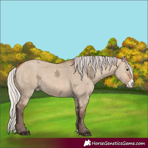 Horse Color:Silver Bay Ice Dun Sabino 