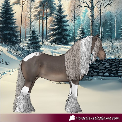 Horse Color:Silver Black Tobiano 
