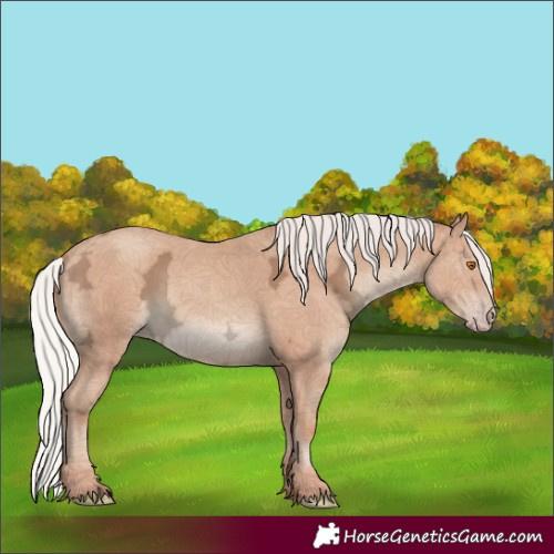 Horse Color:Silver Classic Champagne Ice 