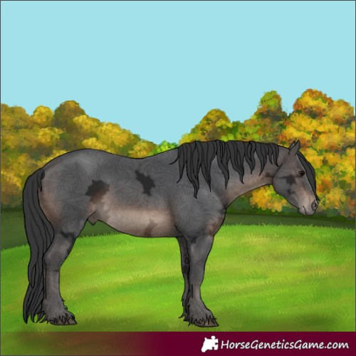 Horse Color:Brown Ice 